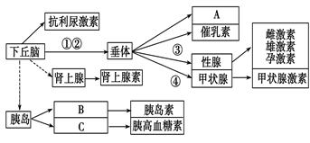 image001.png