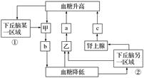 如图为人体血糖平衡调节示意图,下列分析错误的是