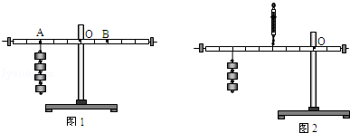 如图1示,小明在探究"杠杆的平衡条件"实验中所用的实验器材有:杠杆