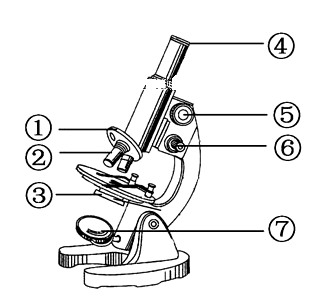 观察显微镜示意图,回答相关问题