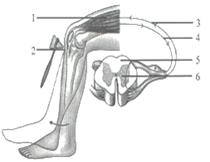 image009.png