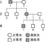 遗传与进化 遗传的基本规律 性别决定和伴性遗传 遗传系谱图中遗传