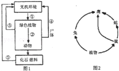 下图是生态系统的碳循环模式图,其中a和b分别表示生态系统成分中的两