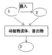 什么叫做有机物和无机物 image001.png