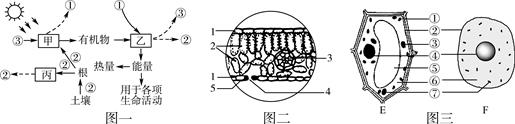 下面图甲表示某生长的大棚蔬菜,图乙为该植物叶肉细胞