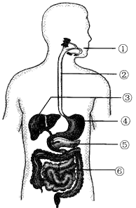 image005.png