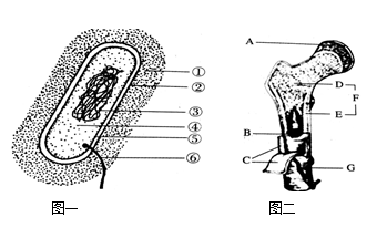 image002.png