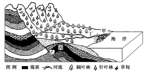 (2)由图中信息可知,该区域的煤层集中分布在________(岩