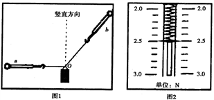 (1)图2中 b弹簧秤的示数为________n;可求出  弹簧秤的拉力为