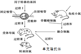 image017.png
