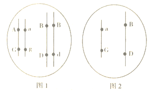 image004.png