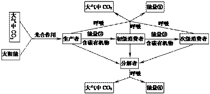 image001.png