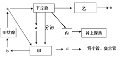 家兔的内分泌系统与人体相似,如图为其下丘脑与部分其他内分泌腺或