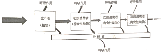 下图为生态系统碳循环示意图,其中甲,乙,丙表示生态系统的三种成分.