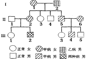 孟德尔遗传定律教案范文_孟德尔遗传定律意义_孟德尔遗传定律