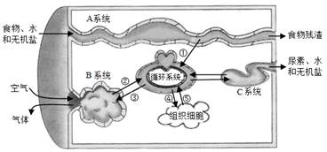 如图表示淀粉,蛋白质和脂肪在消化道各部分被消化的程度,据图回答下列