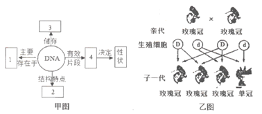 袁隆平是杂交水稻研究领域的开创者和带头人,被称为"世界杂交水稻之父