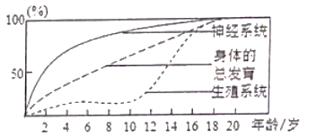 【推荐1】如图是人体生长发育曲线图,其中分析正确的是