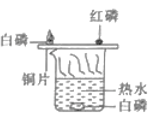 请根据图示信息和资料信息回答有关问题(已知物质的着火点:白磷为40
