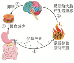 image008.png