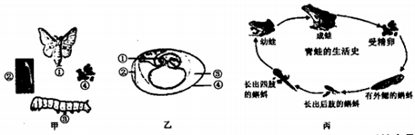 山东省曲阜市2018-2019学年八年级上学期期末考试生物试题