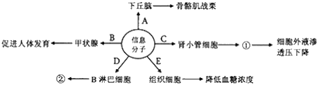 神经一体液一免疫调节网络是机体维持稳态的主要调节机制.