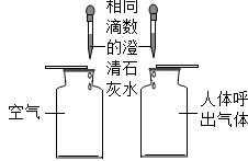 这样擦过的玻璃会更干净,这说明与空气相比,人呼出的气体中含有较多的