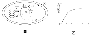 (2009淮安四模)如图是细胞亚显微结构模式图,据图回答下列下列问题