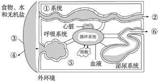 高中生物综合库 稳态与环境 细胞生活的环境及内环境的稳态 【推荐3】