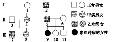 章节选题 第3节 伴性遗传 下图为人类的两种遗传病的某家族系谱.