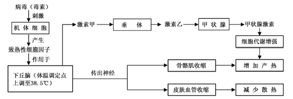 请回答下列与机体调节有关的问题