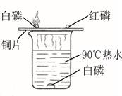 对比铜片上的白磷与红磷得到可燃物燃烧的条件