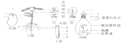 浓度,光照强度等条件能自动控制,以满足作物生长发育的需求.