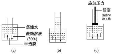 yy.vip易游-渗透检测的基本原理