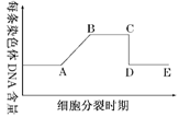 如图表示细胞减数分裂的不同时期与每条染色体 dna 含量变化的关系