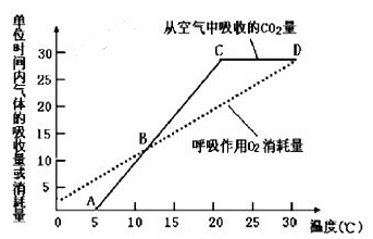 下图为该幼苗的光合速率,呼吸速率随温度变化的曲线图,请分析回答相关