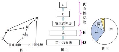 如图是某湿地生态系统的部分食物网,请分析回答以下问题