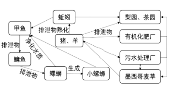 下图是我国某地区某农业生态园生态链种养循环图.完成下列小题.