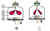 正常大气压_武汉天气正常气压多少_正常气压是多少