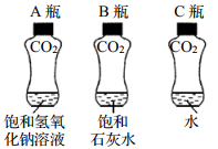 知识点选题 生活中常见化合物(4)检验二氧化碳是否收集满的操作方法