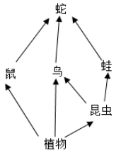 image001.png