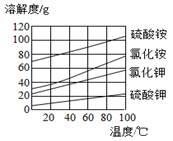 【推荐1】如图是四种物质的溶解度曲线图,请回答下列问题.