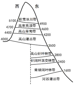 山区却存在植被呈逆向更替分布的情况,这种现象成为倒置的垂直地带性