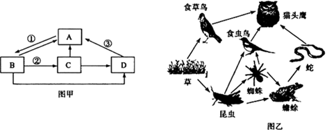 如图是农田生态系统中部分生物之间的关系示意图.请据