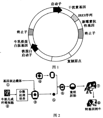 image001.png