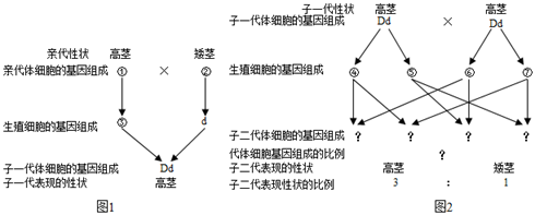 生物的遗传和变异