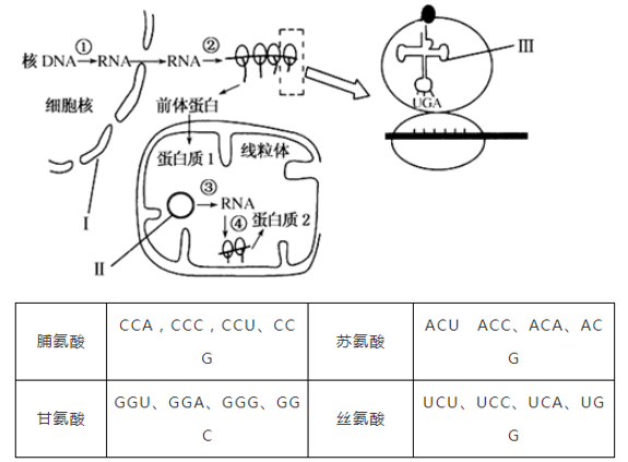 什么叫做有氧呼吸 image012.png