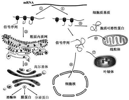 image012.png