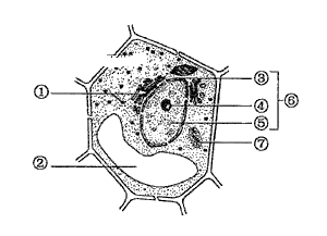 image015.png