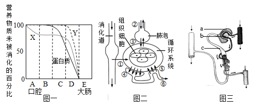 (2)Ҫ______()սѪҺ,